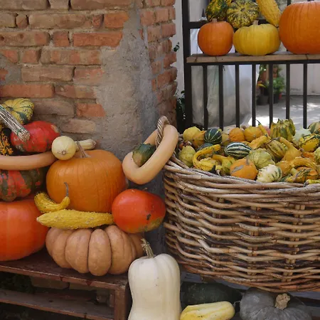 Ca' Gialla Bed & Breakfast 4*