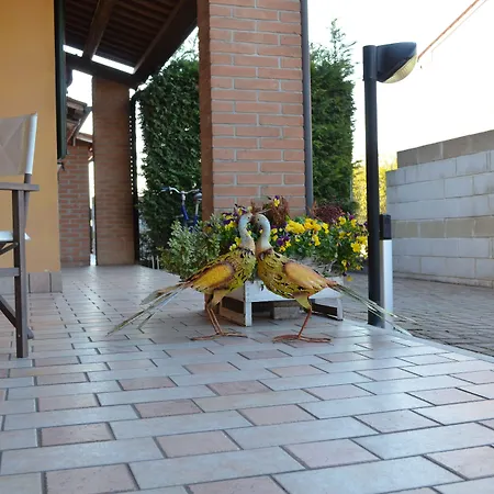 Ca' Gialla Montagnana (Veneto)