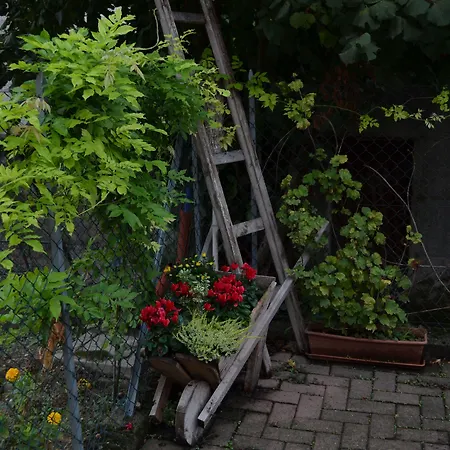 Bed and Breakfast Ca' Gialla