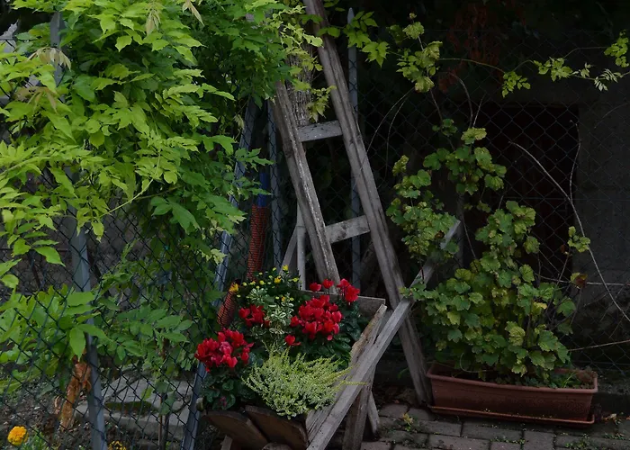 Bed & Breakfast Ca' Gialla